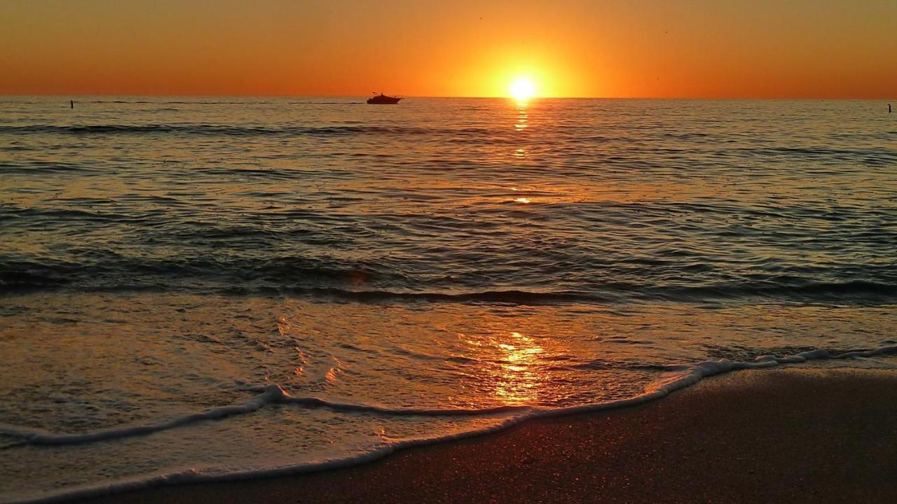 Coconut Paradise St. Pete Beach Esterno foto