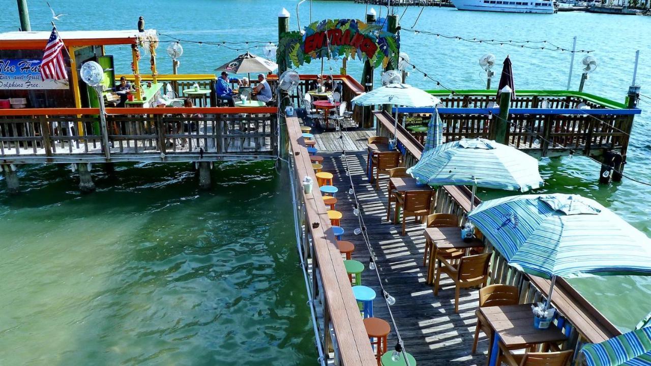 Coconut Paradise St. Pete Beach Esterno foto