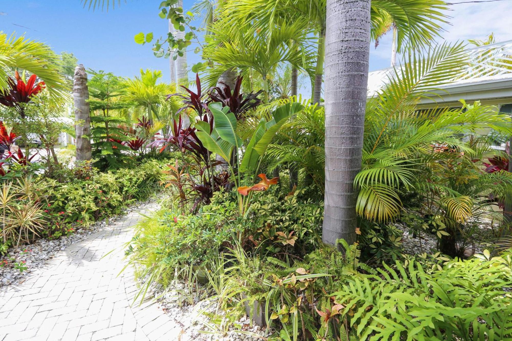 Coconut Paradise St. Pete Beach Esterno foto